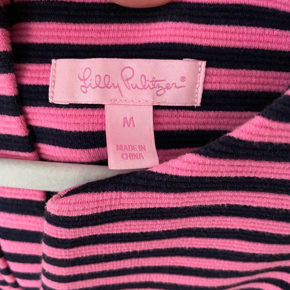 Lilly Pulitzer Brielle fit & flare dress Hotty Pink Ottoman Stripe - Picture 7 of 14